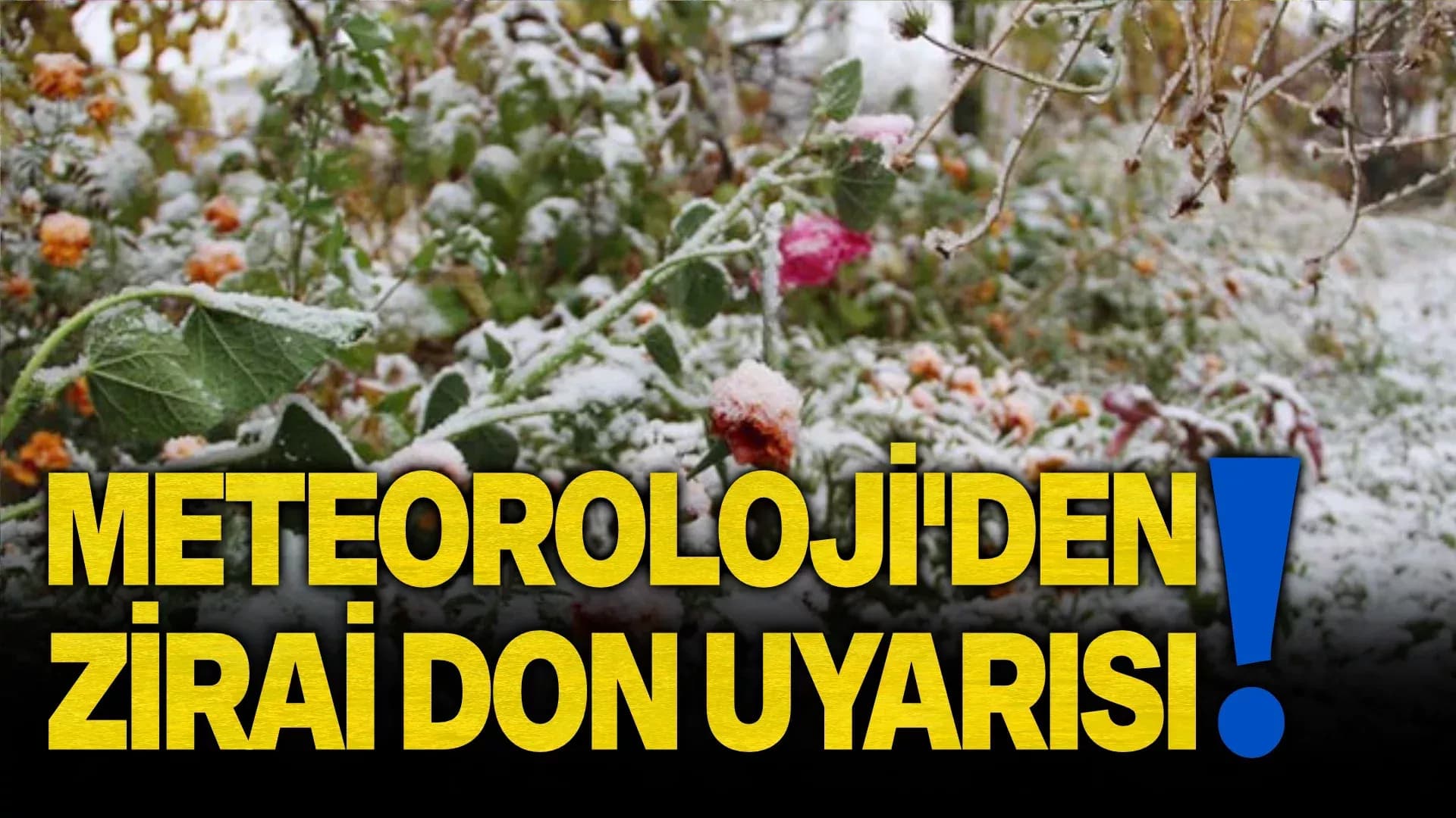 Karabük için zirai don uyarısı yapıldı