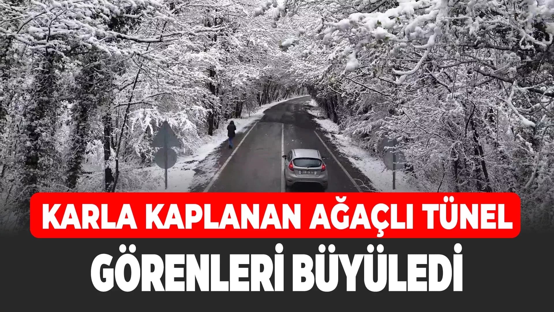 Doğal ağaç tünelli yol, kar manzaralarıyla mest etti