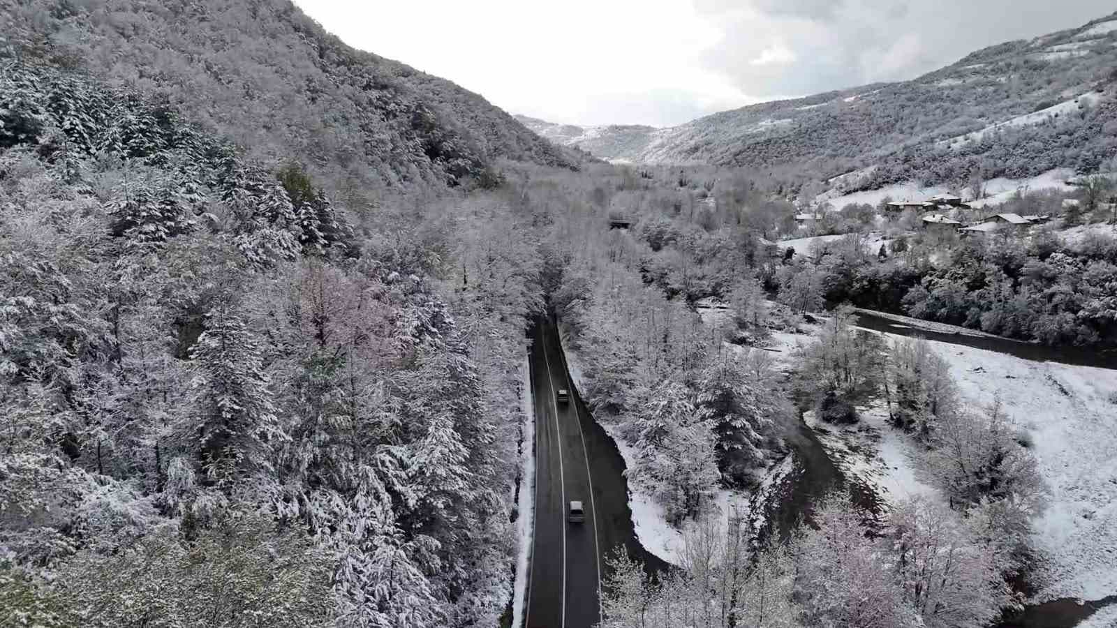 Doğal ağaç tünelli yol, kar manzaralarıyla mest etti