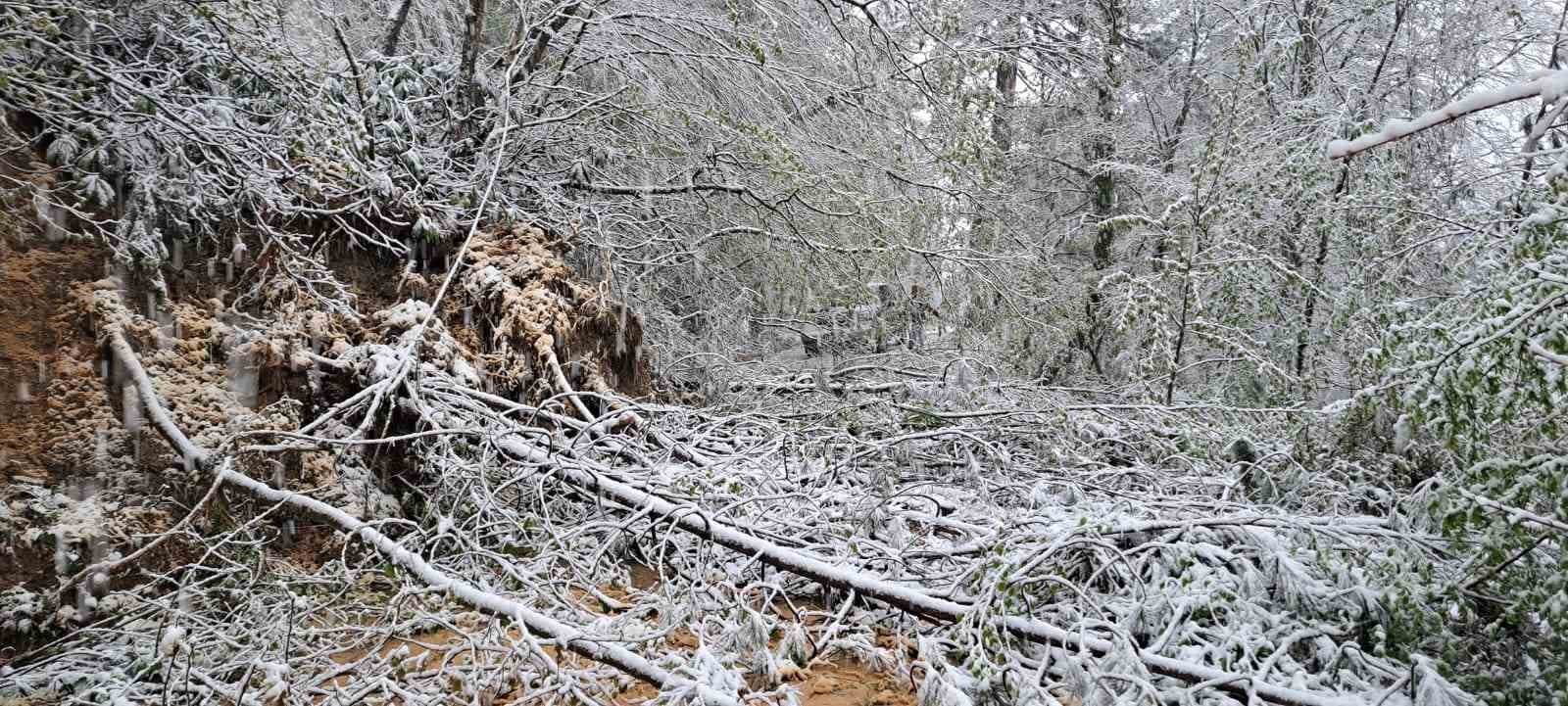 Heyelandan kapanan yol yeniden ulaşıma açıldı