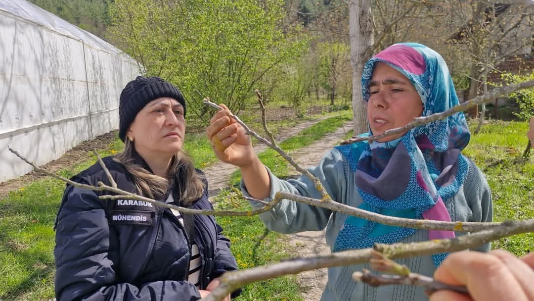 Tarım alanlarında "zarar tespit" incelemesi