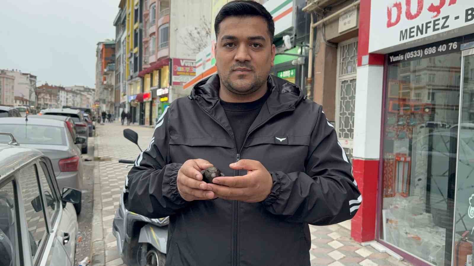 Yaralı sandığı ebabili evinde besledi, daha sonra doğaya bıraktı