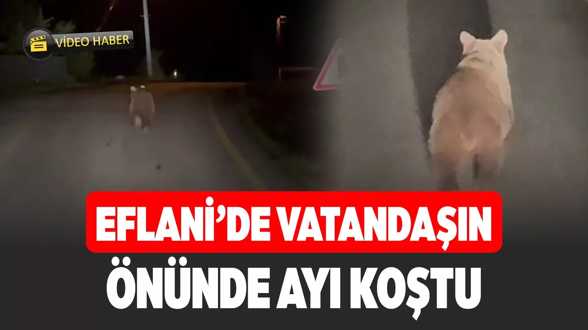Eflani'de köy yolunda koşan ayı kamerada