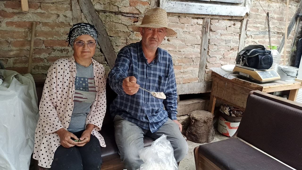 İstanbul’dan memlekete dönen iki kardeş, 10 dönümlük arazide salep bitkisi yetiştiriyor