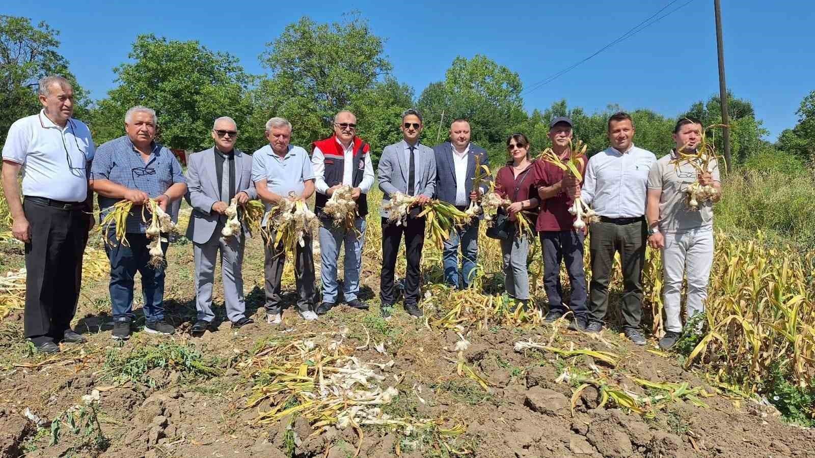 Zonguldak’ta ilk kez makineli sarımsak hasadı gerçekleştirildi
