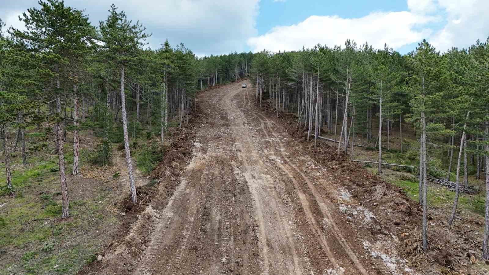 Kastamonu’da ormanları yangınlardan korumak için emniyet yolu çalışmaları sürüyor
