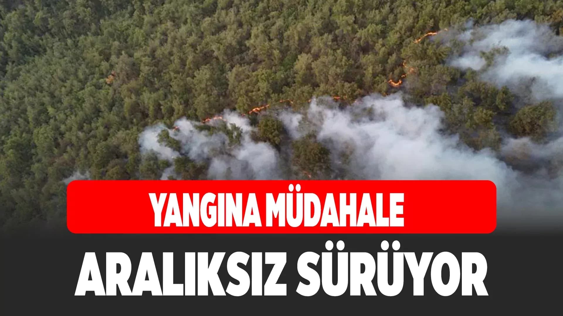 Karabük'te orman yangınına müdahale 6 saattir aralıksız sürüyor