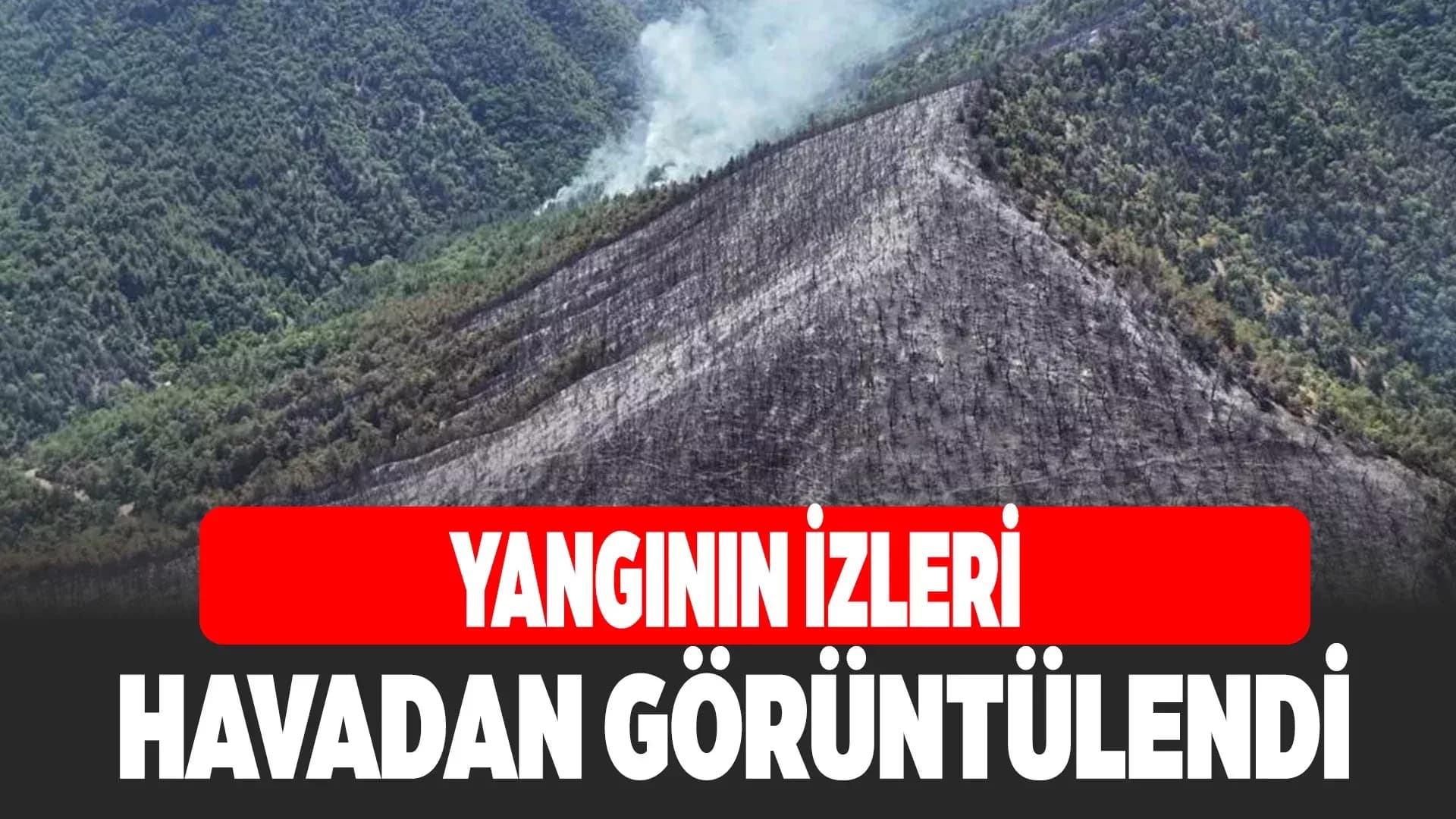 Orman yangınında zarar gören alanlar havadan görüntülendi