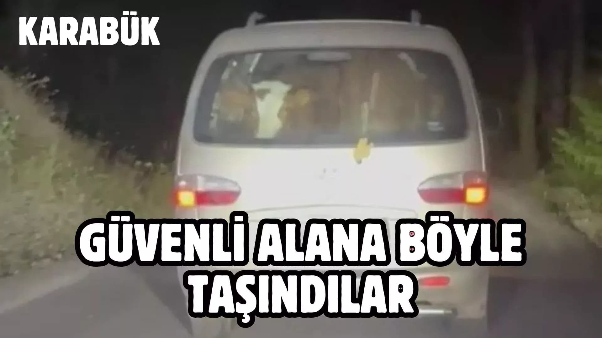 Hayvanlar Panelvanla Güvenli Alana Taşındı