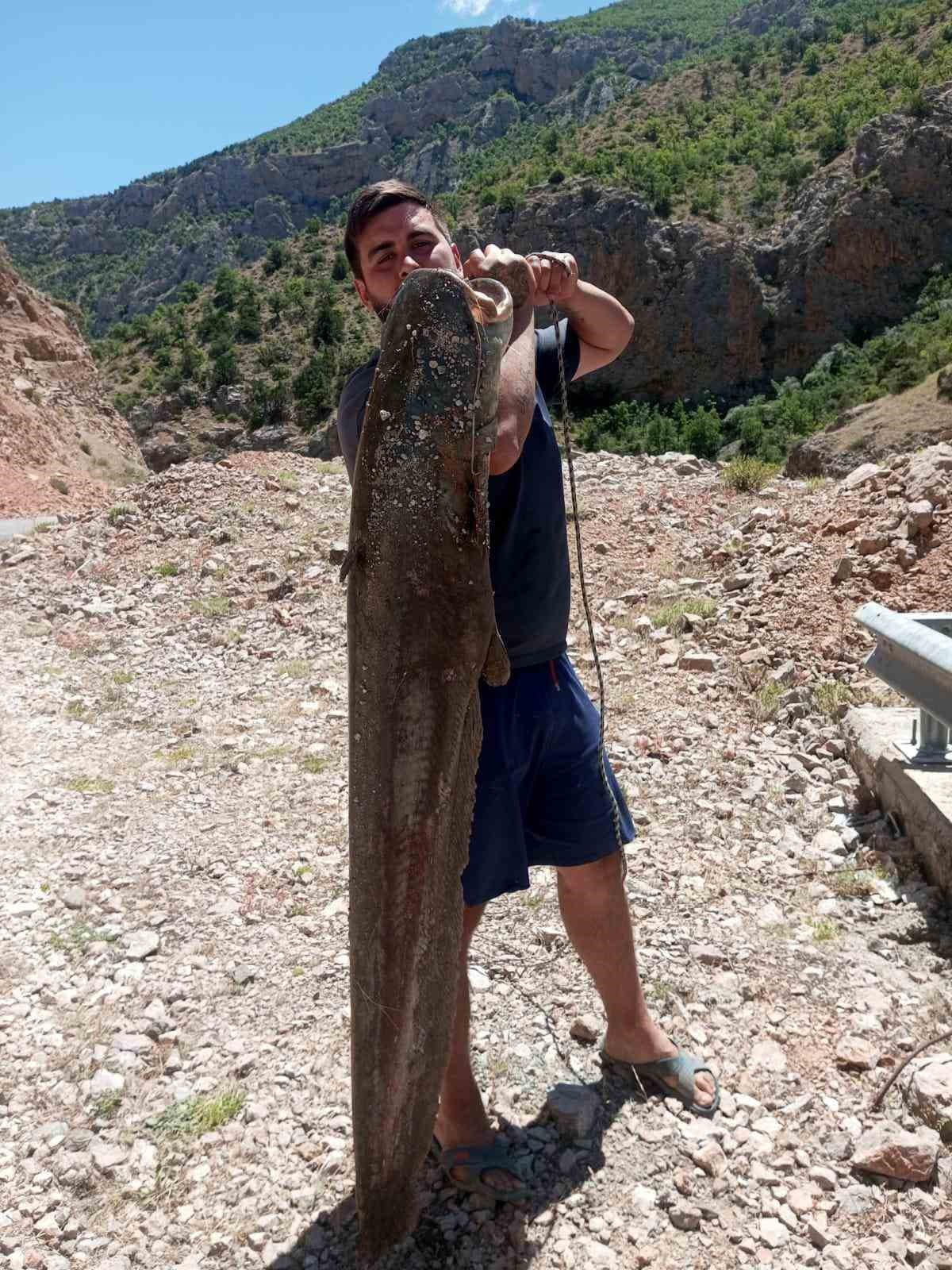 Ardanuç’ta baraj gölünde dev yayın balıkları yakalandı