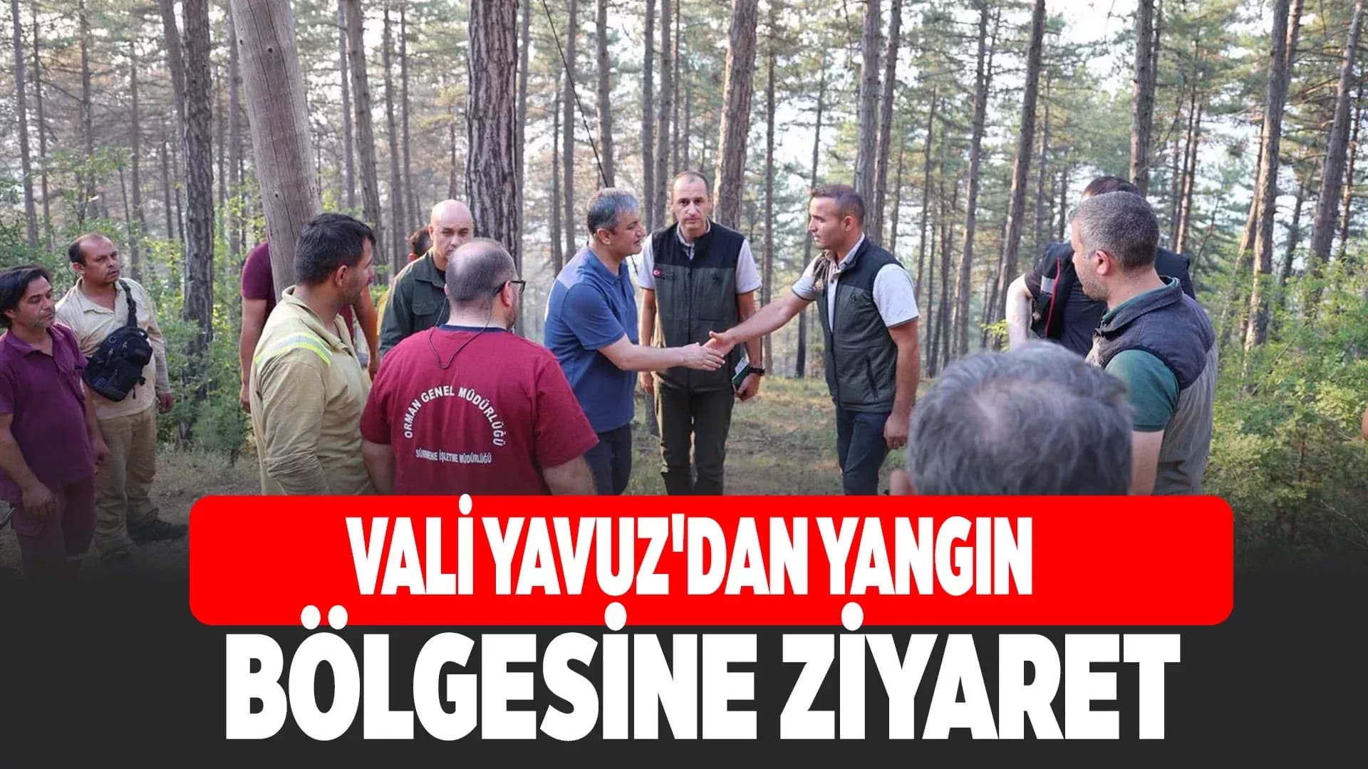 Vali Yavuz'dan Yangın Bölgesine Ziyaret