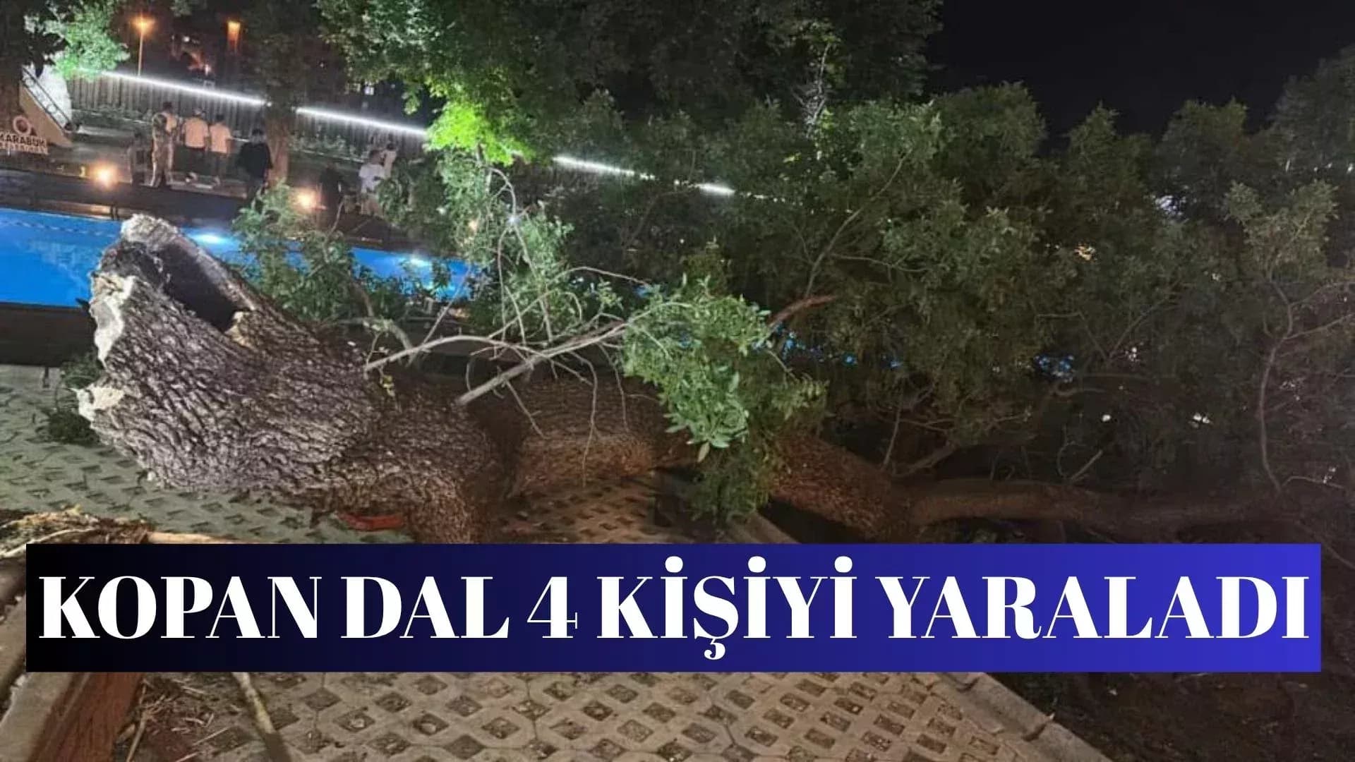 Karabük’te Ağaç Dalı Devrildi: 4 Yaralı
