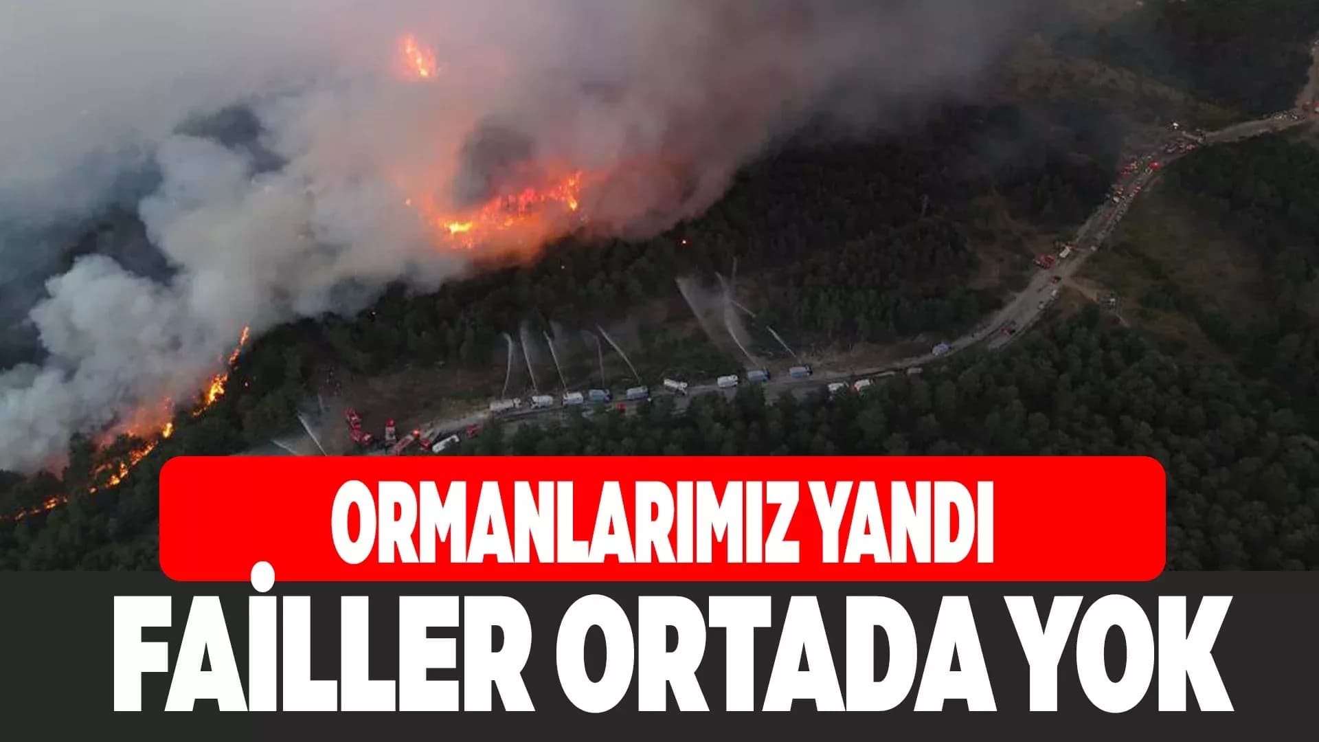 Ormanlarımız Yandı Failler Ortada Yok!..