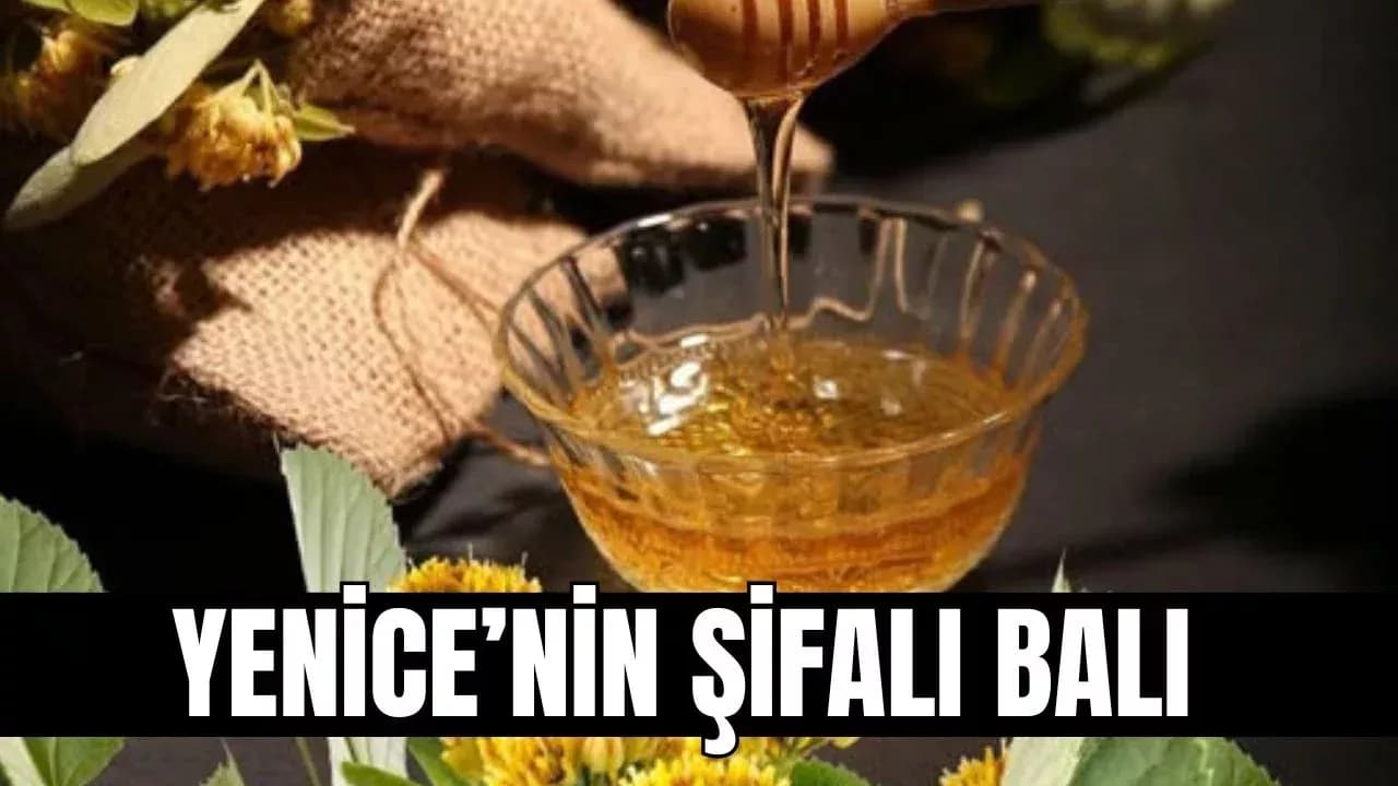 Yenice Ihlamur Balı AB Yolunda