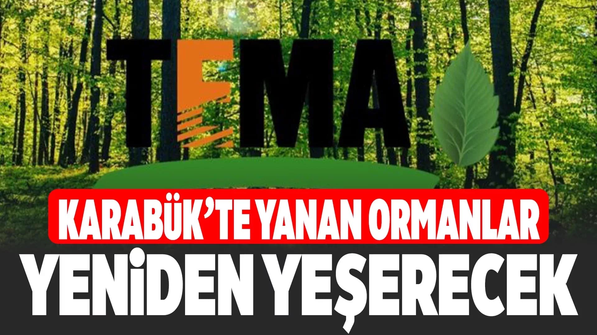 Karabük’te Yanan Ormanlar İçin TEMA Vakfı’ndan Kampanya: “Yeniden Yeşerteceğiz”