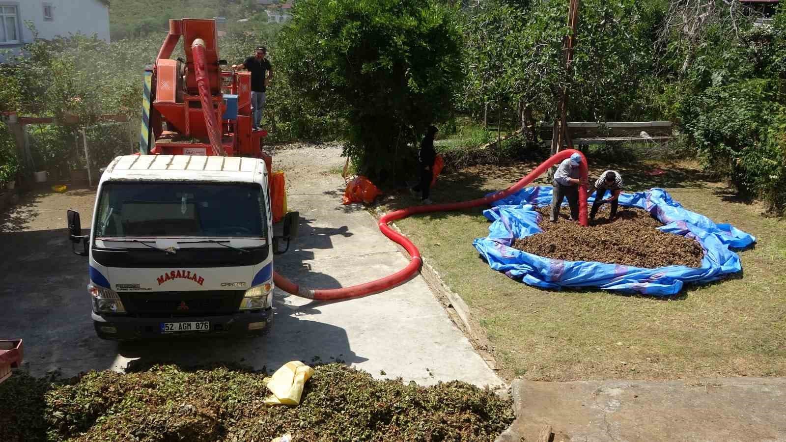 Fındıkta patoz mesaisi başladı: Saatlik ücreti 4 bin 500 TL