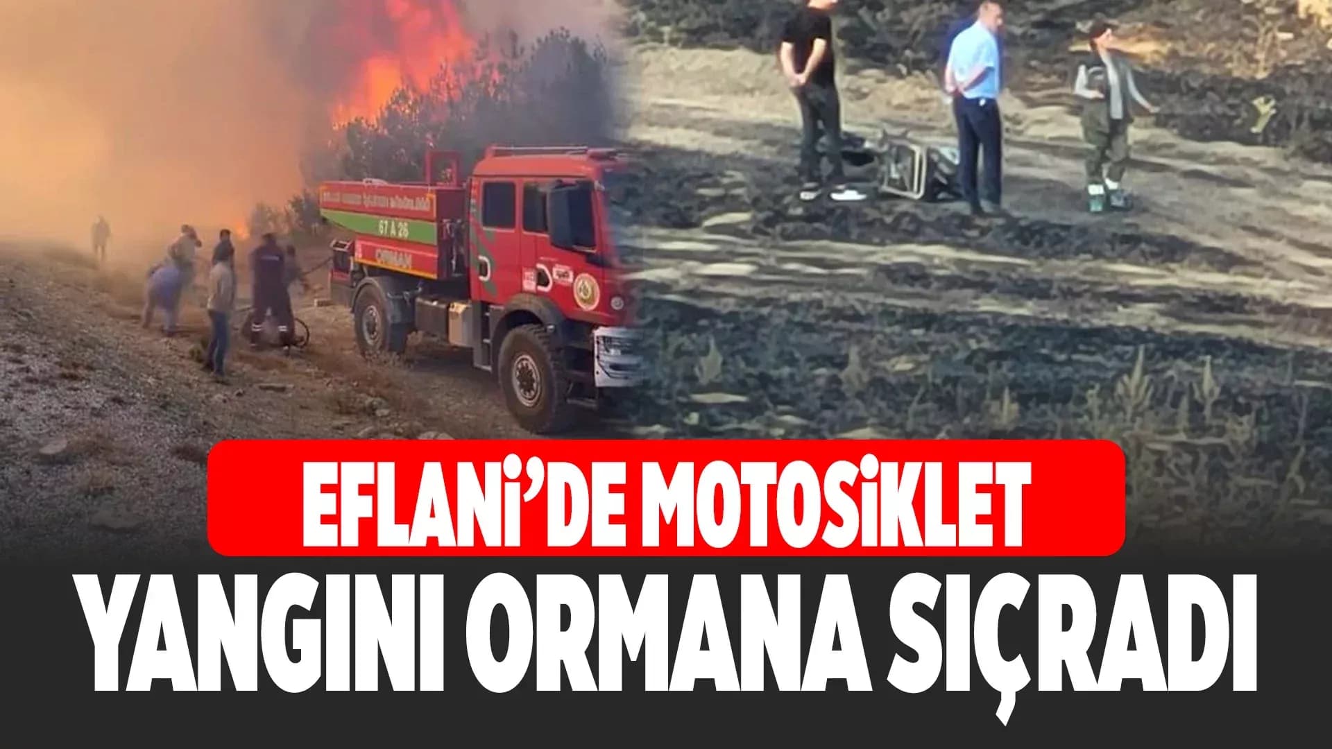 Karabük'te Orman Yangını