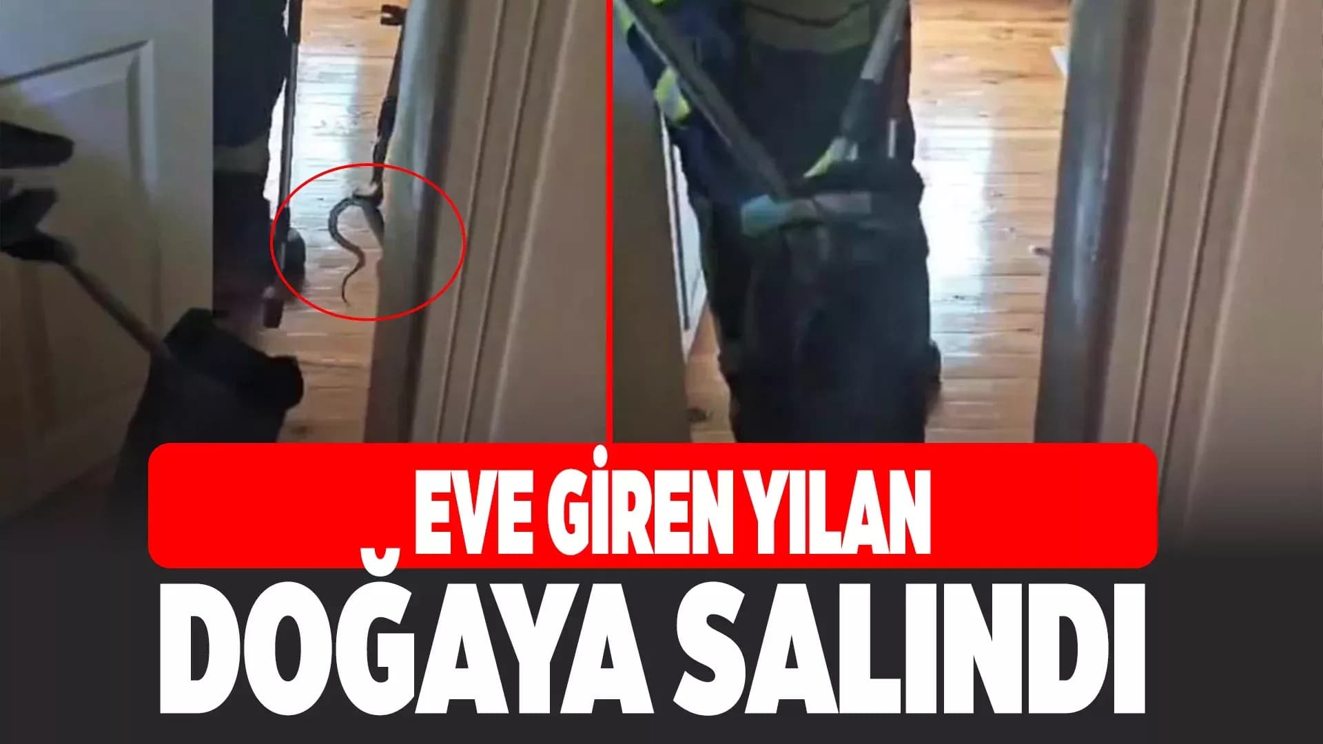 Karabük'te eve giren yılan itfaiye ekiplerince yakalanarak doğaya salındı