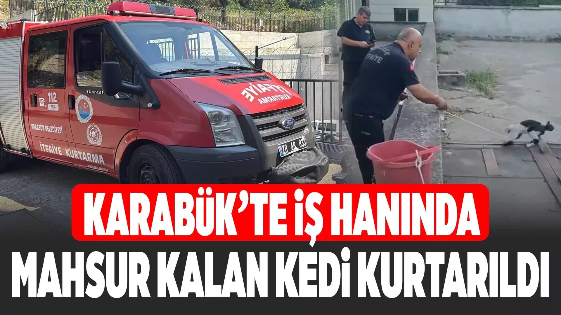 İş hanının havalandırma boşluğuna düşen kediyi kurtarmak için seferber oldular