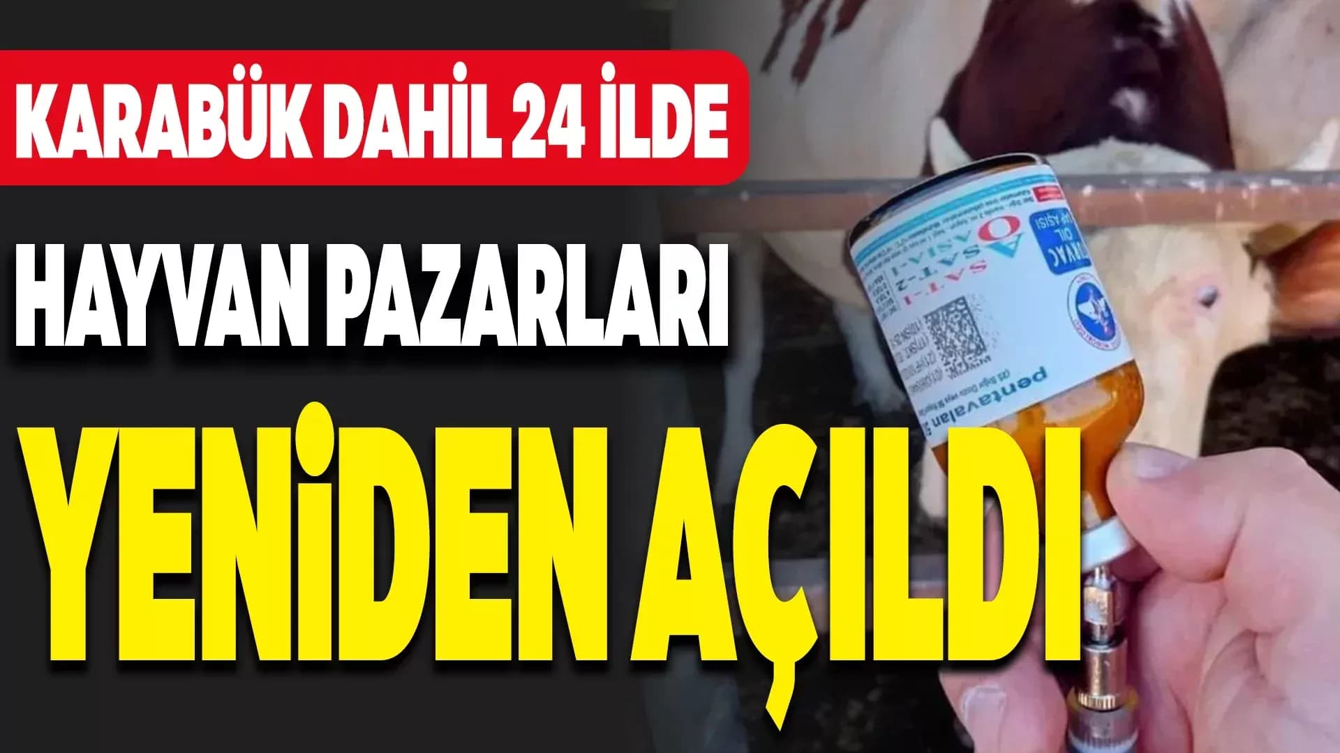 Karabük'te Kapatılan Hayvan Pazarları Yeniden Açıldı