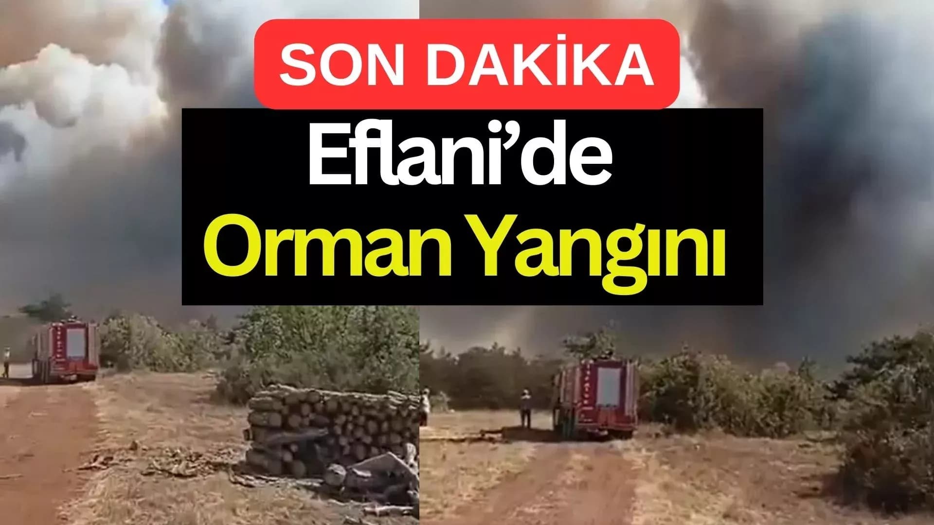 Eflani'de Orman Yangını Başladı