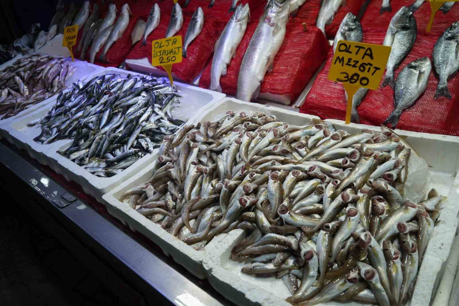 Sezonun ilk balıkları tezgahlarda