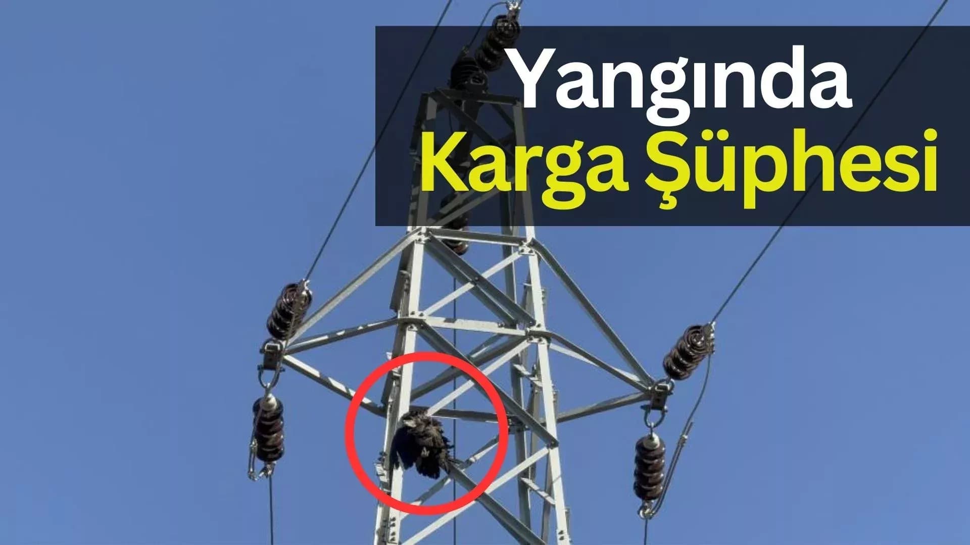 Karabük’teki orman yangınında ‘karga’ şüphesi
