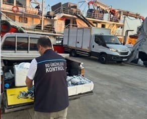 Trabzon’da usulsüz hamsi çıkışına 37 bin TL ceza