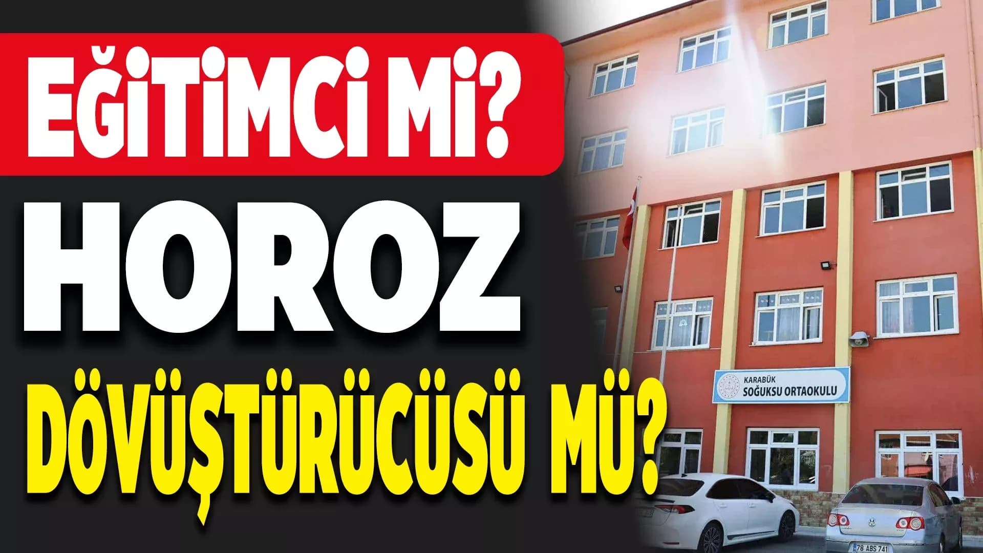 Eğitimci Mi, Horoz Dövüştürücüsü Mü?