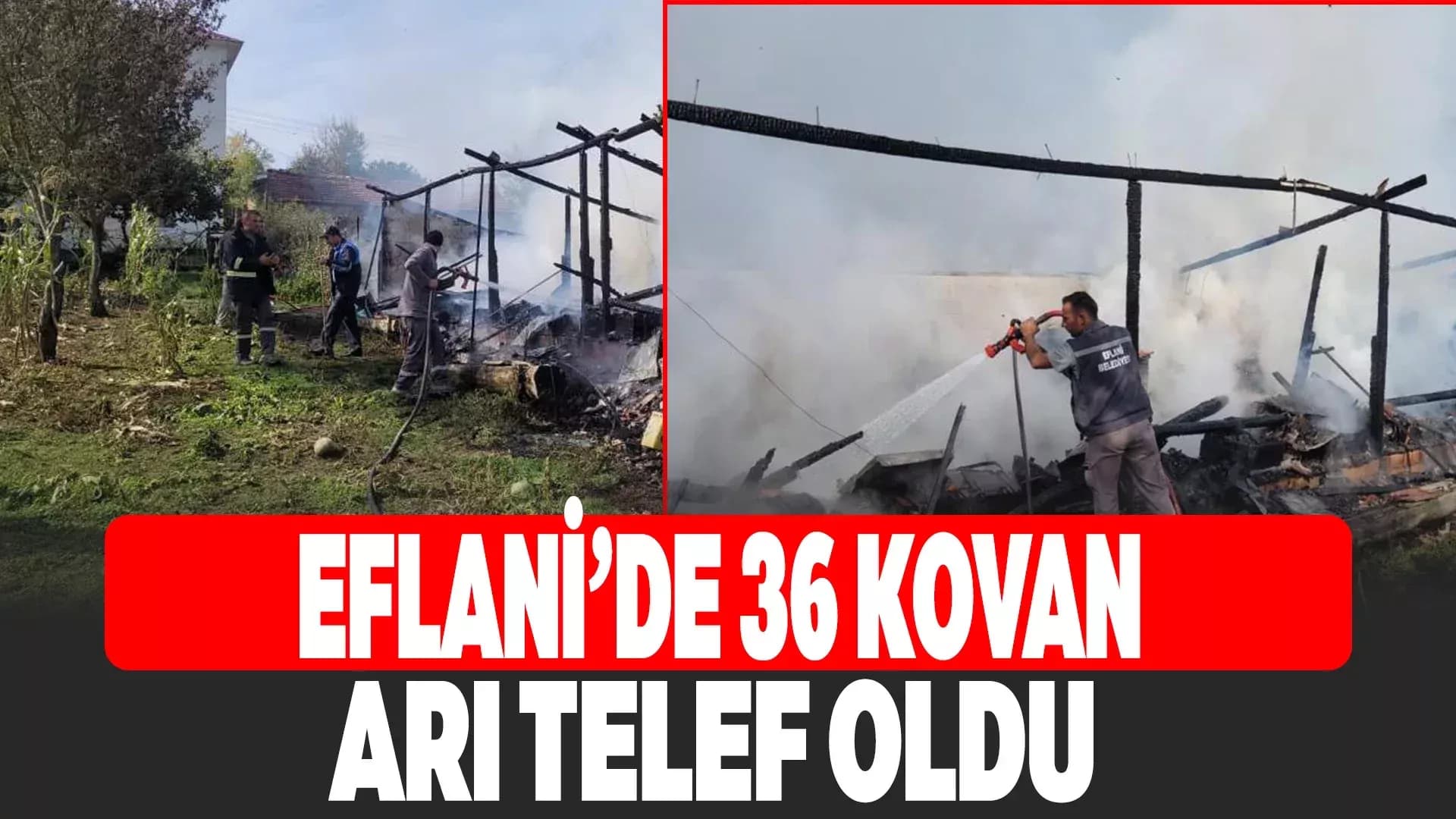 Yangında 36 kovan arı telef oldu