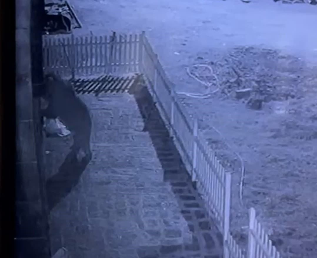 Kapıyı hırsız zorluyor sandı, gerçek güvenlik kamerası ile ortaya çıktı