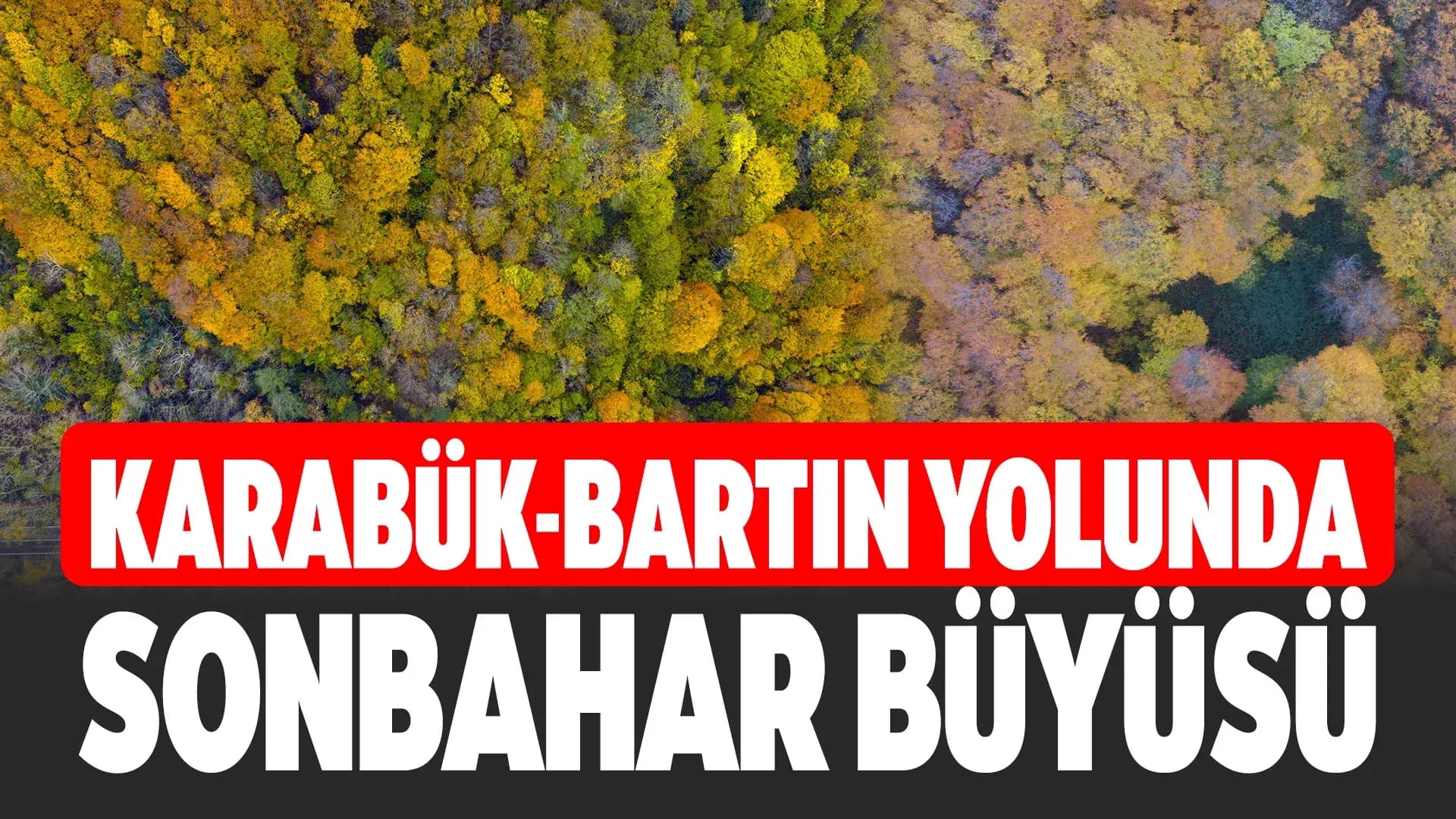 Ağaç tünel yol Safranbolu ve Amasra arasında köprü oluşturuyor