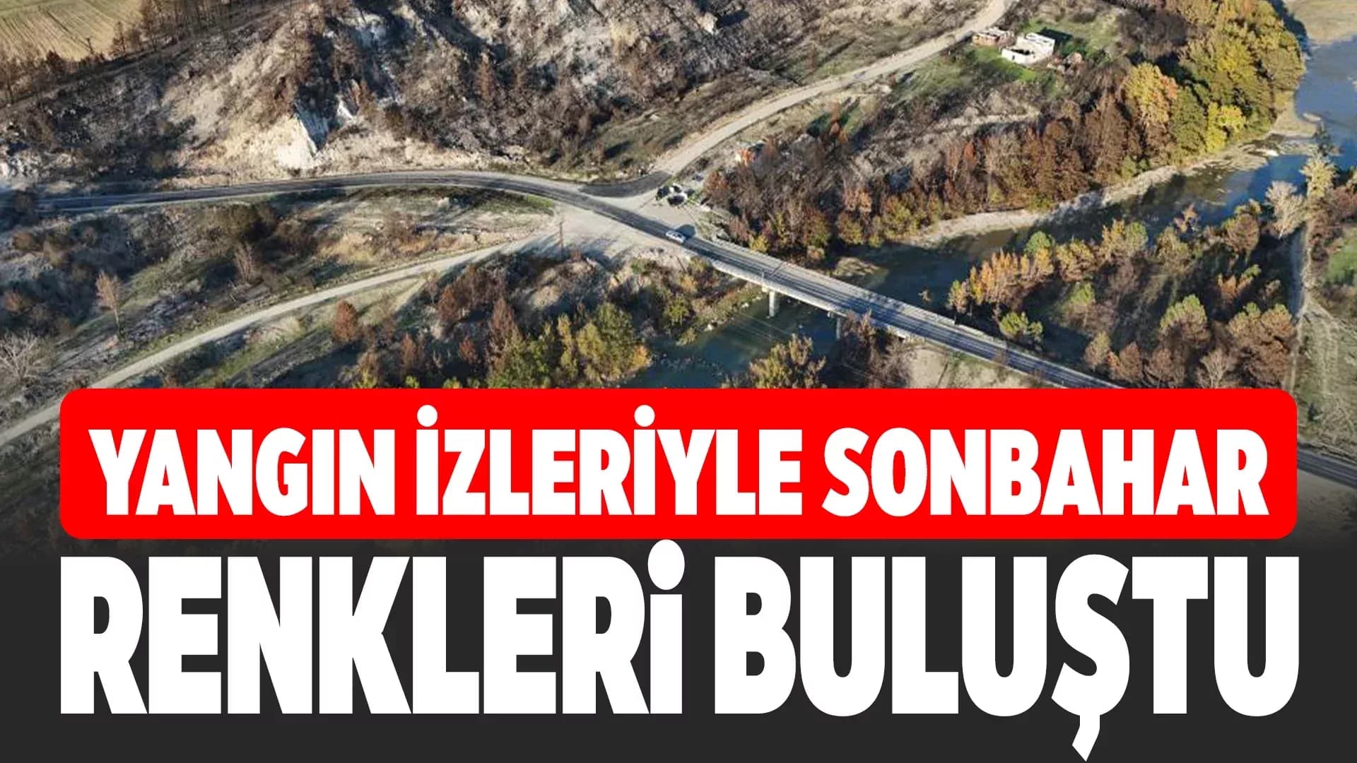 Yanan Ağaçlarla Sonbahar Renkleri Aynı Kadrajda Görüntülendi
