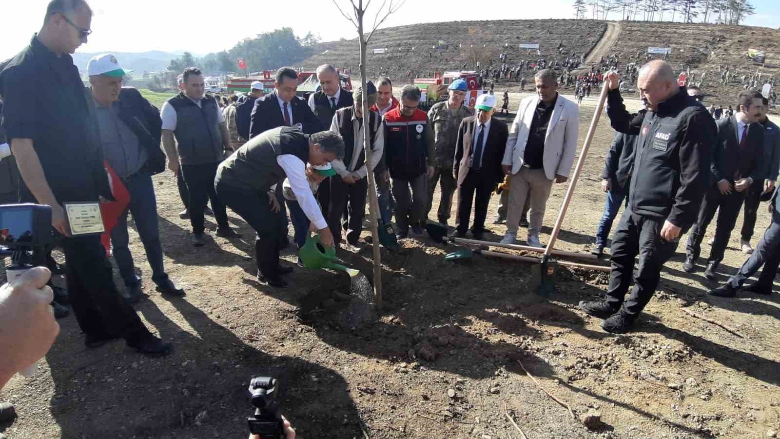 Bolu’da yanan orman yeniden yeşeriyor