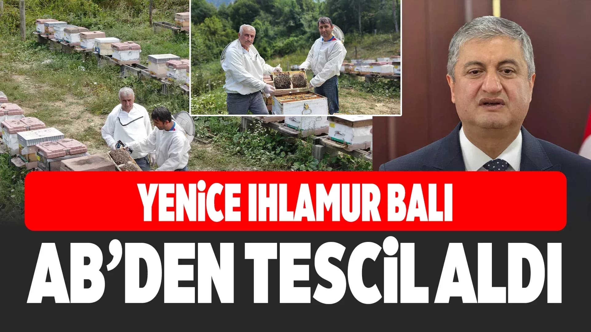 Türkiye’nin AB tescilli 43’üncü ürünü Yenice ıhlamur balı oldu