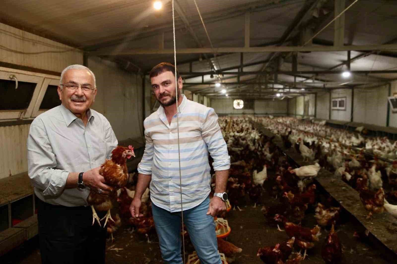 Ordu’da yumurta üretimi, verilen destekler ile zarardan kara dönüştü: İlin ekonomisine yıllık 500 milyon lira gelir