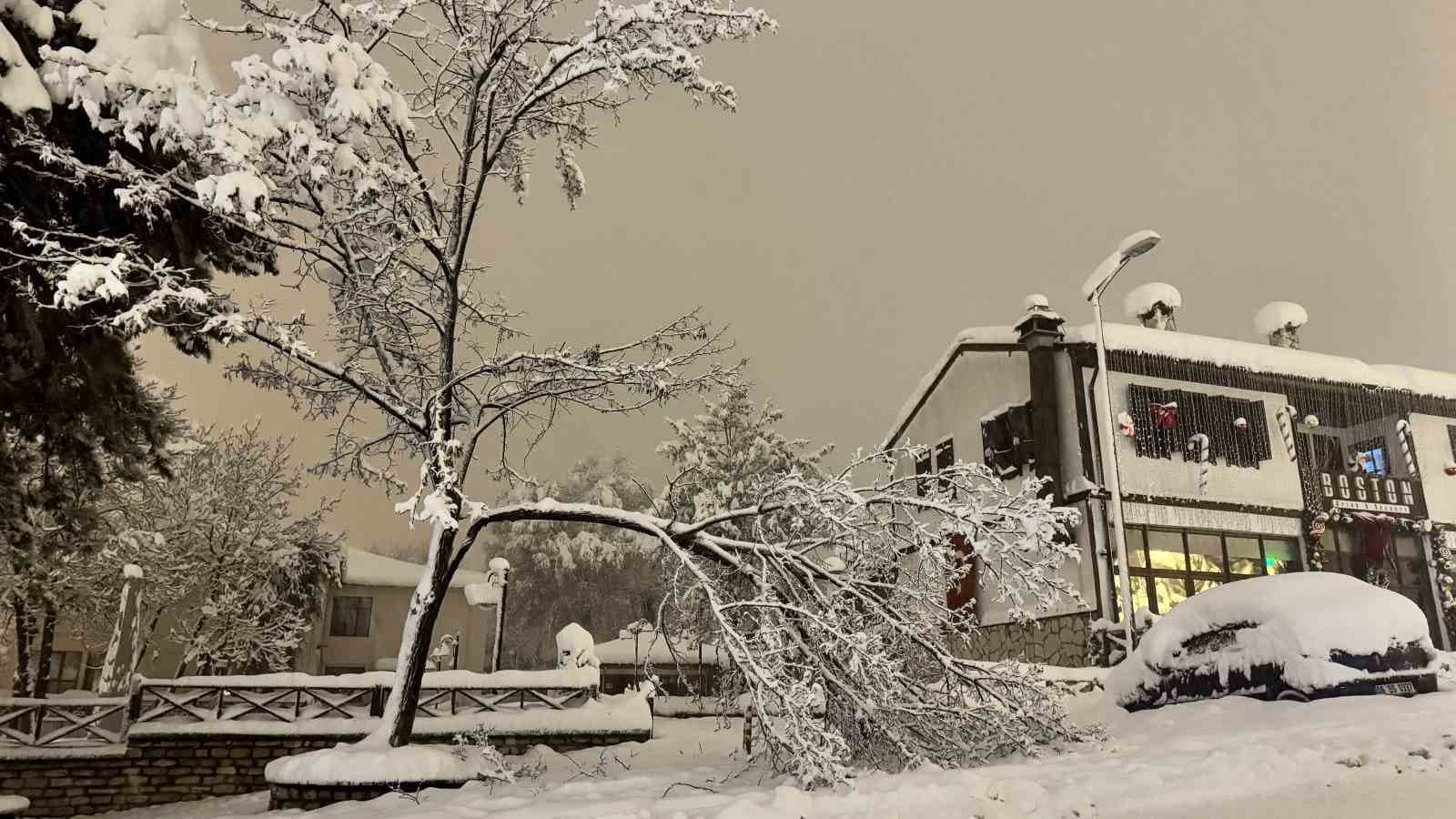 Karabük’te kar ağırlığına dayanamayan çok sayıda ağacın dalların kırıldı