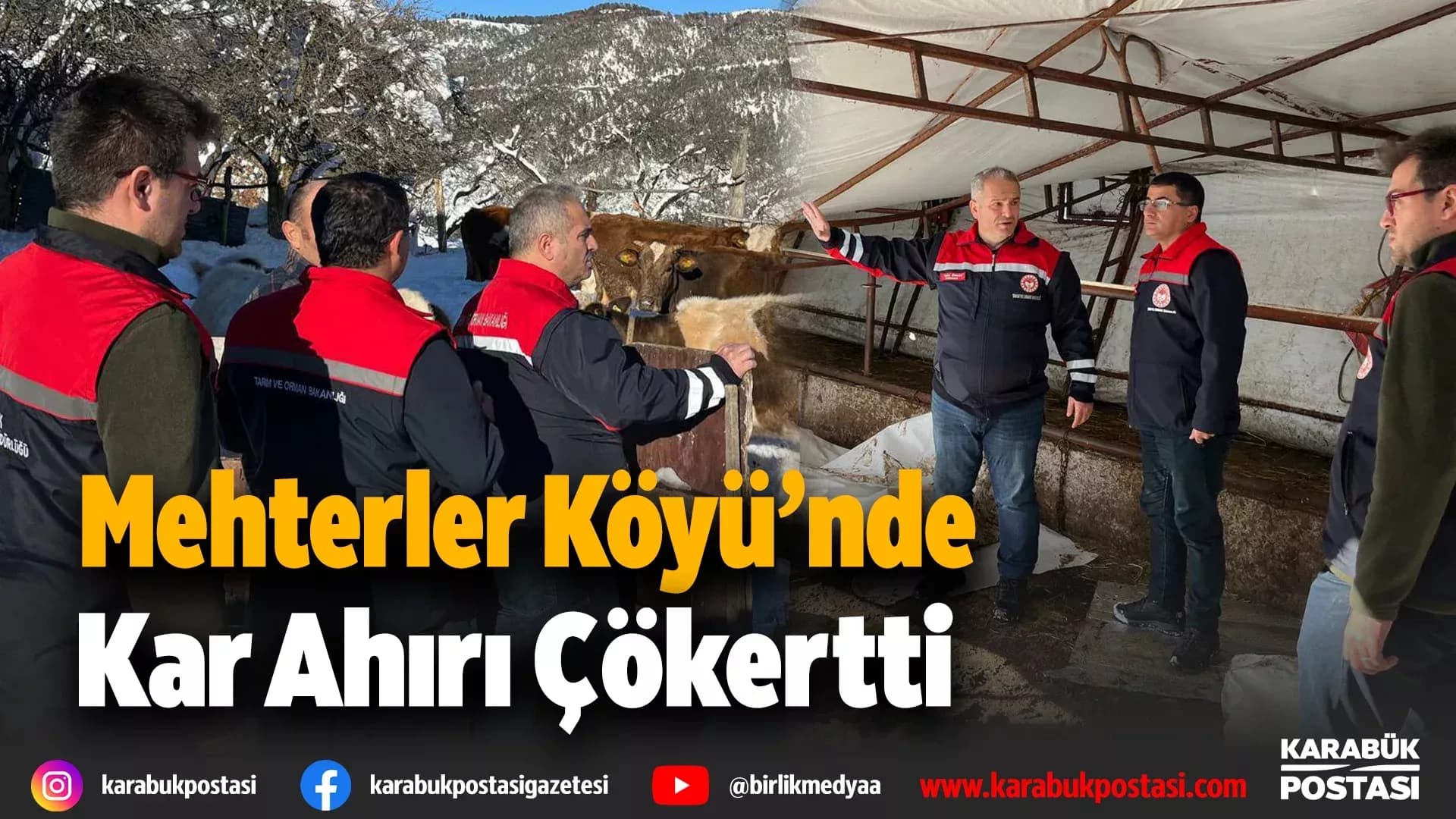 Karabük'te Çadır Ahır Çöktü, 48 Büyükbaş Hayvan Kurtarıldı