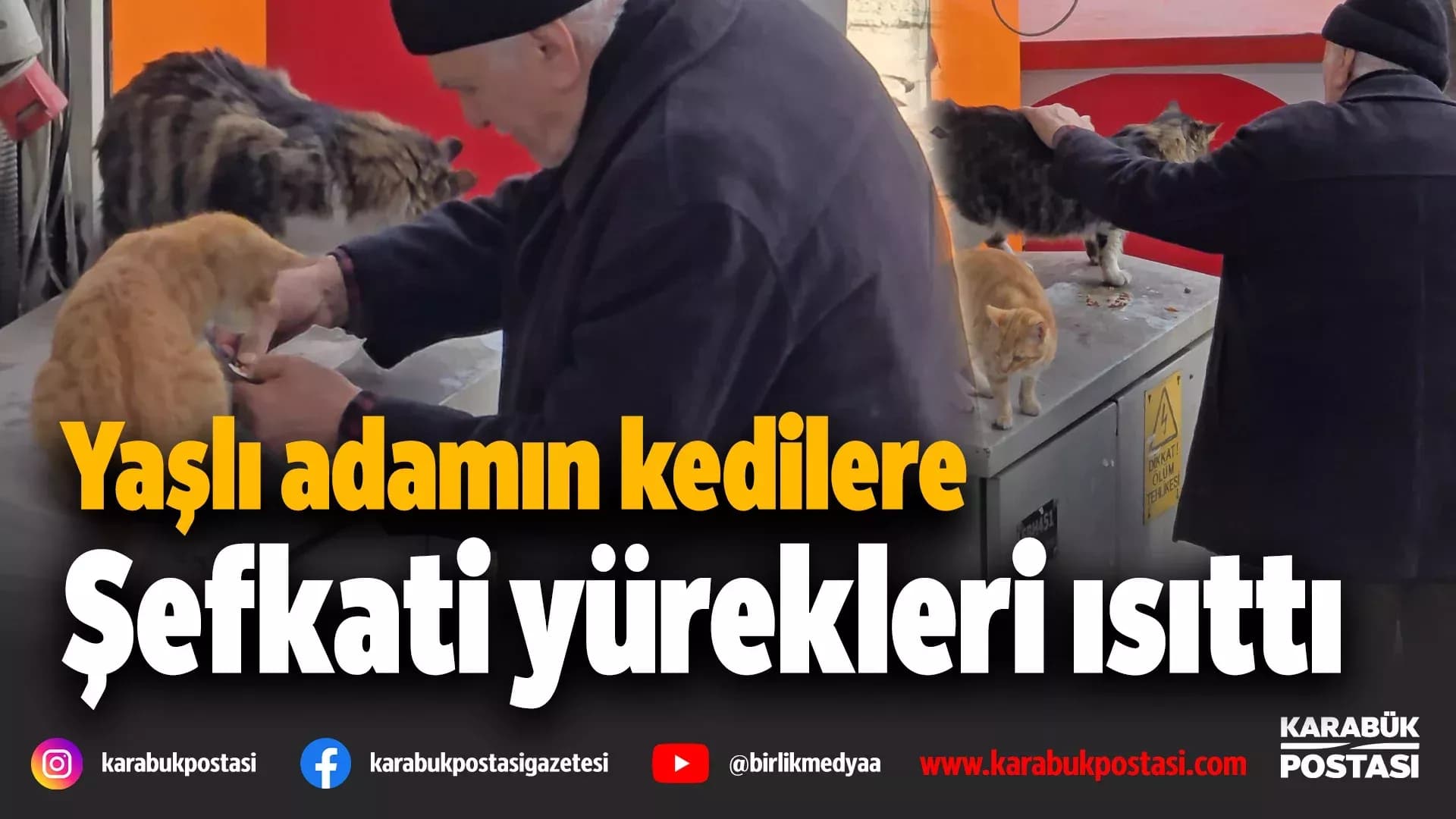Safranbolu'da yaşlı adamın sokak kedilerine şefkati yürekleri ısıttı