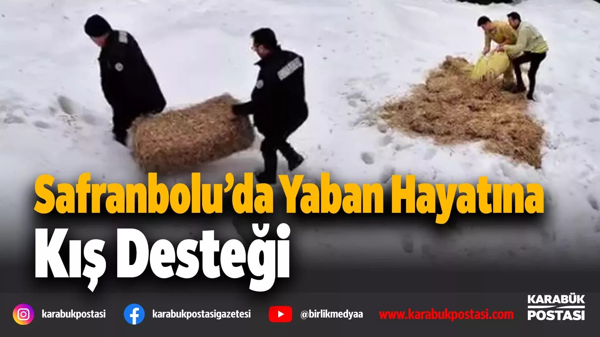 Safranbolu’da Yaban Hayatına Kış desteği