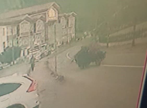 Kastamonu’da lastiği fırlayan tarım aracı takla attı: 1 yaralı