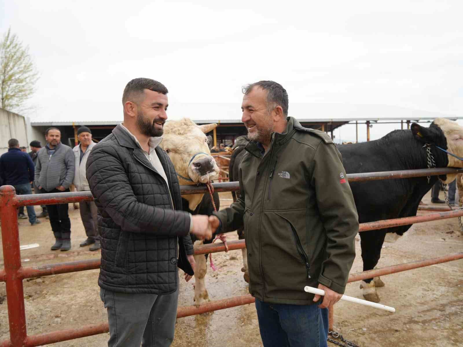 Kastamonu’da Kurban Bayramı hareketliliği: 850 kilogramlık tosun 340 bin liraya alıcı buldu