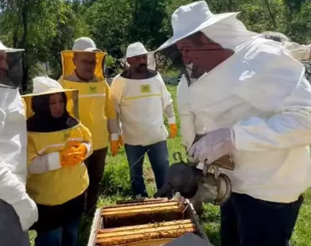 Safranbolu’da Arıcılık Kursu teorik ve uygulamalı devam ediyor