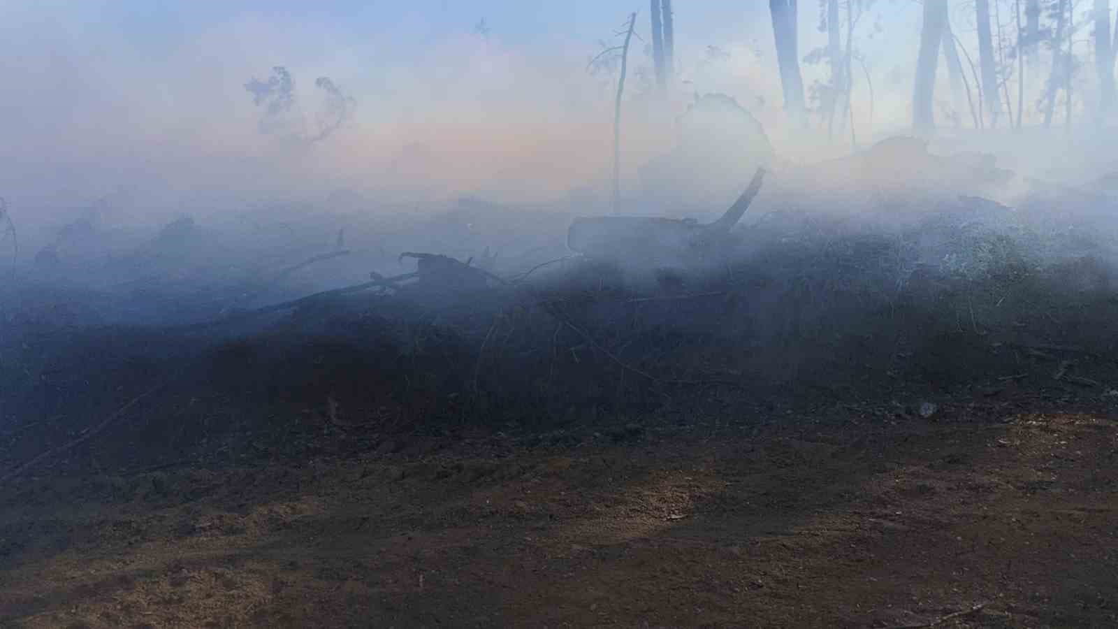 Araç yangını ormanlık alana sıçradı, ekipler alevleri büyümeden söndürdü