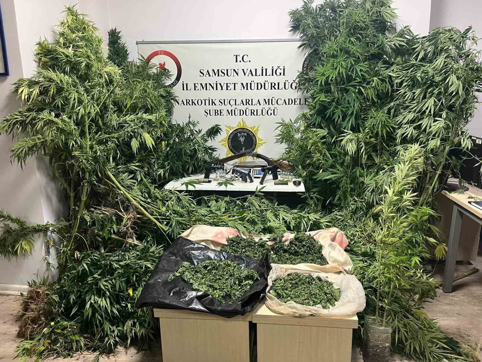 Polis havadan iz sürdü: Tütünlerin arasında 502 kök kenevir ele geçti