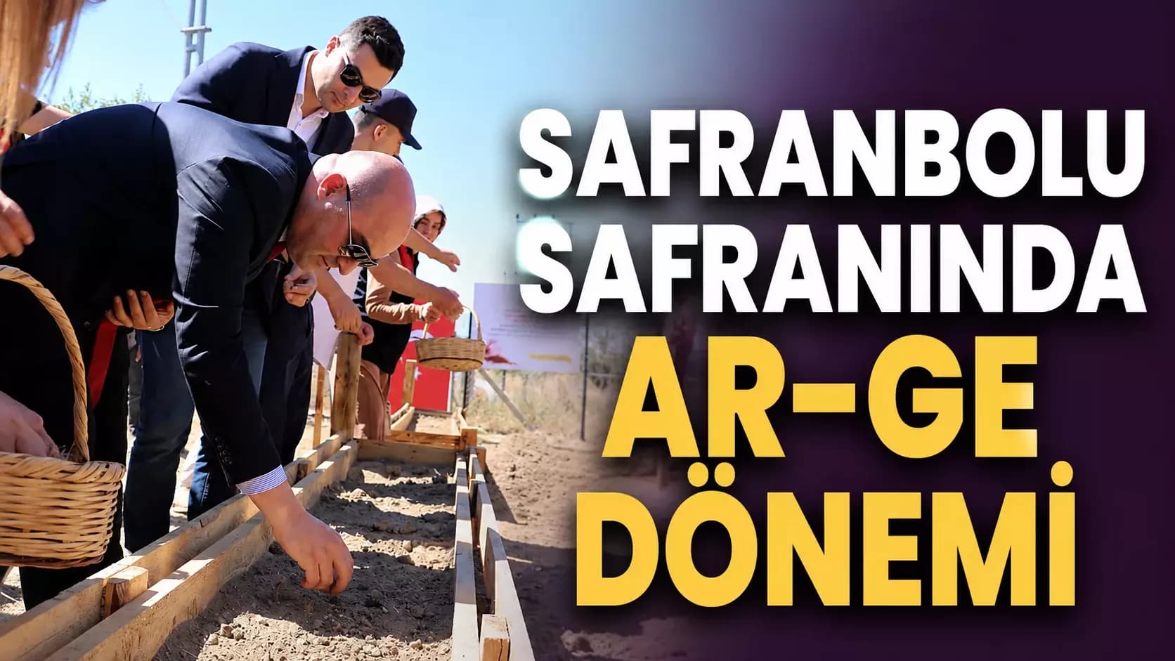 Safranbolu Safranının toprak altı zararlılardan korunması için proje geliştirildi