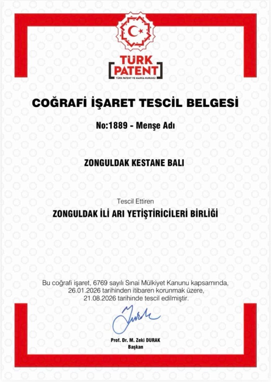 Zonguldak kestane balı coğrafi işaret tescili aldı