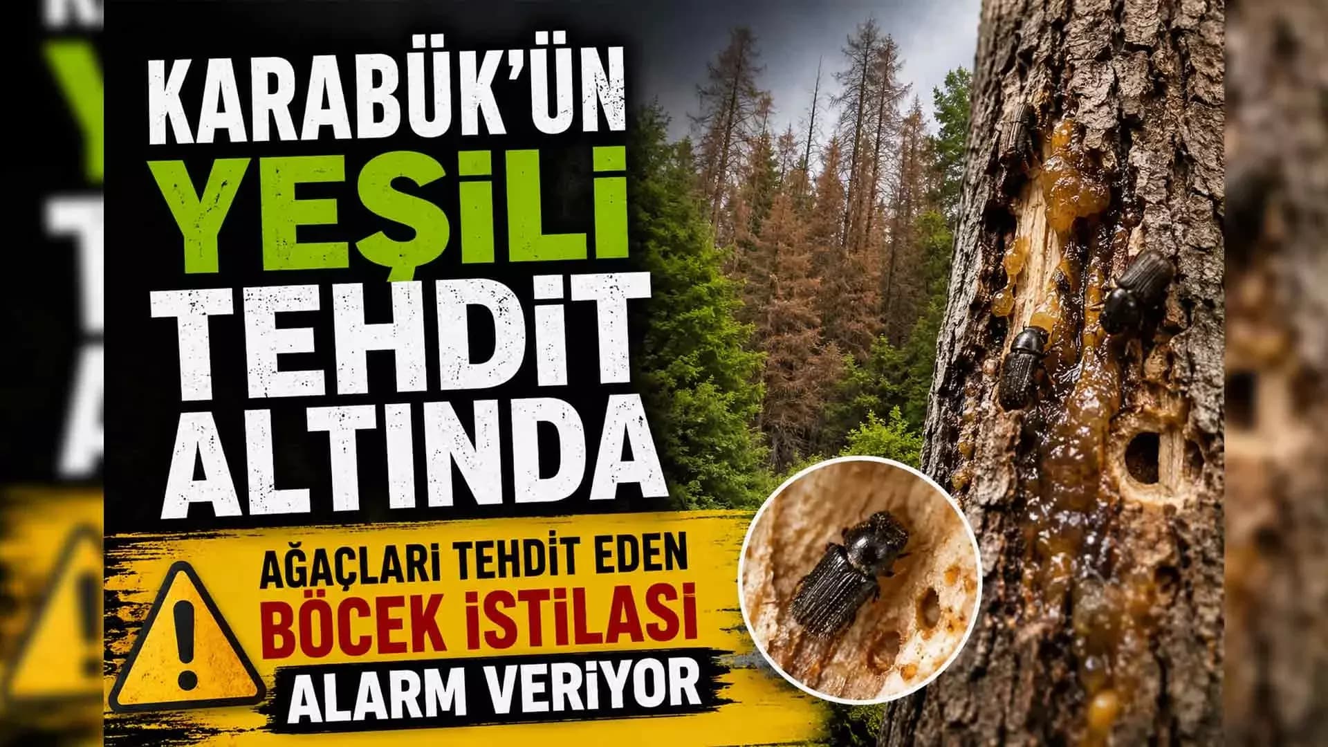 KARABÜK’ÜN YEŞİLİ TEHDİT ALTINDA