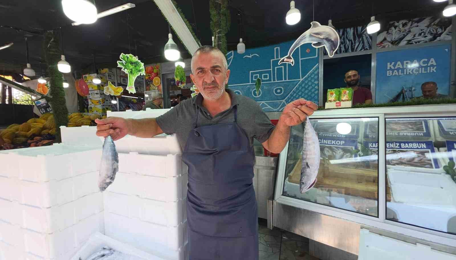 Düzce’de palamut tezgaha indi, vatandaş sıraya girdi