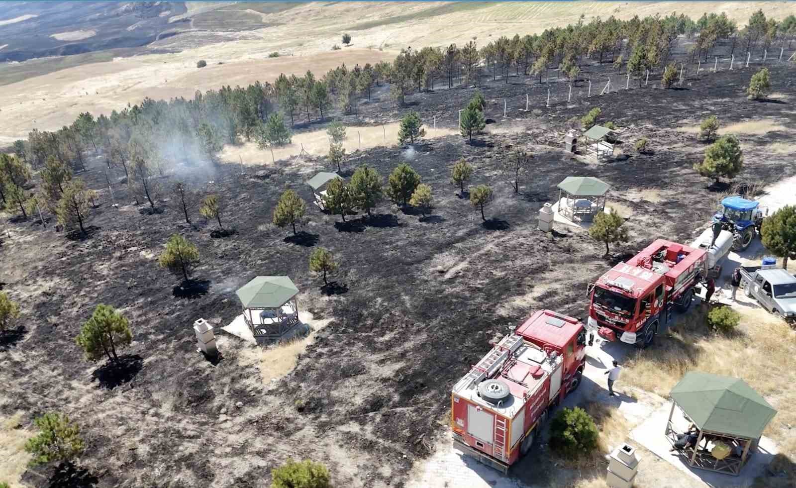 Çorum’da örtü yangını ormana sıçradı, 800 dönüm alan yandı